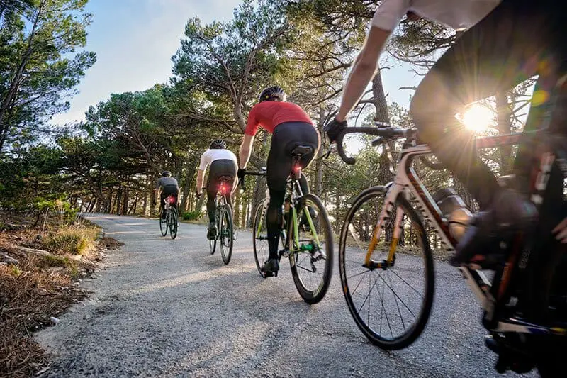 Garmin