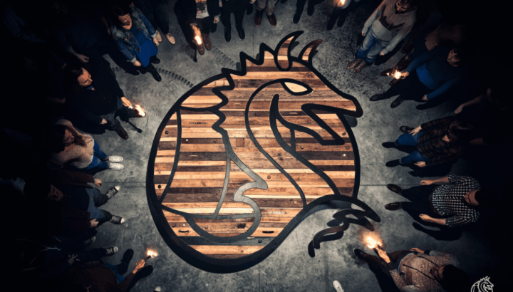 Mobile Vikings vast internet