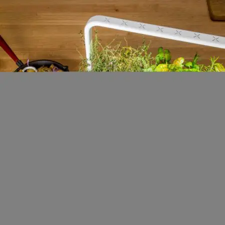 Click & Grow Smart Garden 9