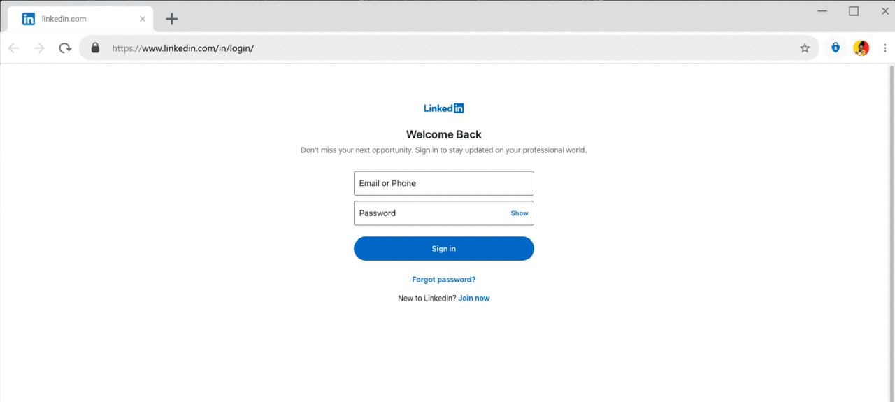 Microsoft Autofill