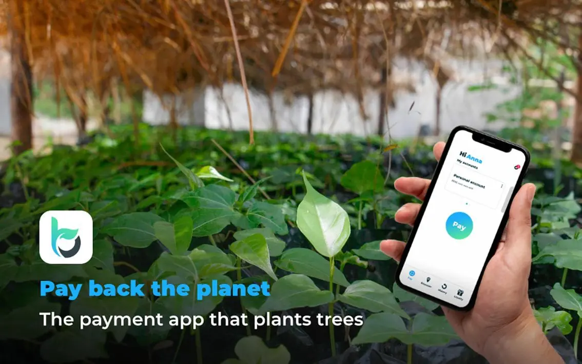 pay bonsai app
