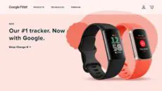 Google Fitbit