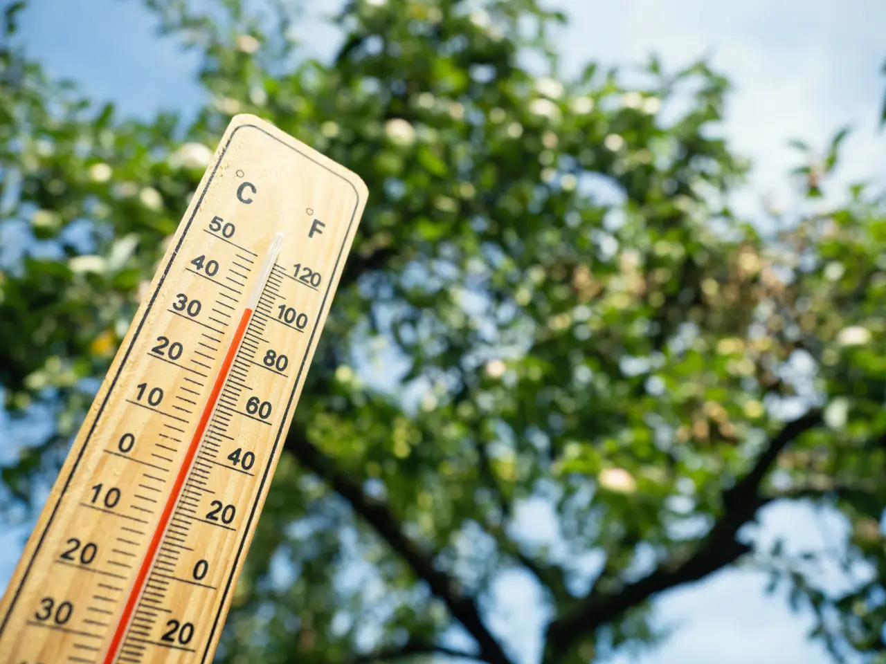 thermometer