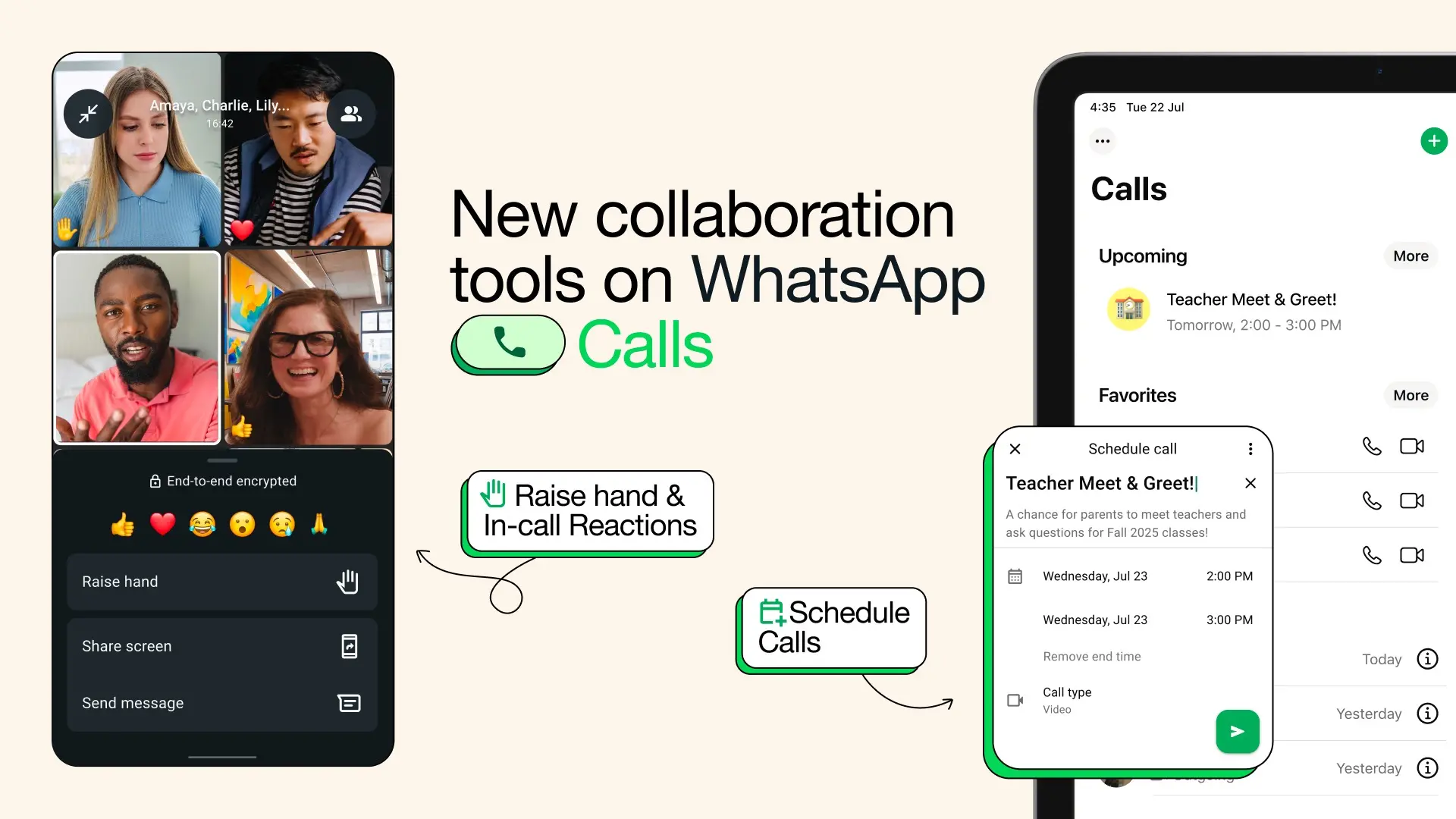 whatsapp call schedule