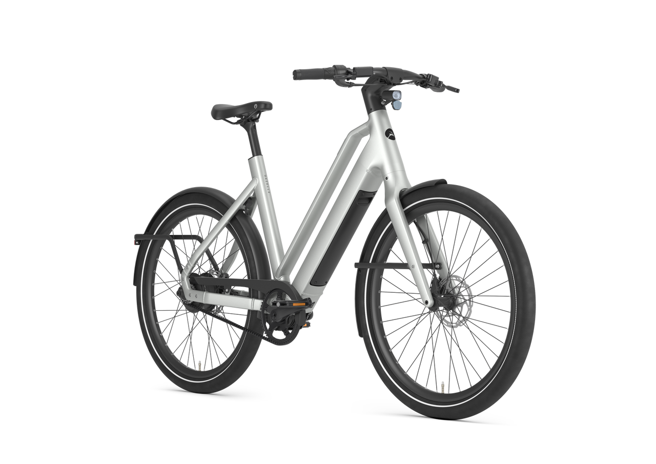 Gazelle Cayo C310 in Pebble Grey