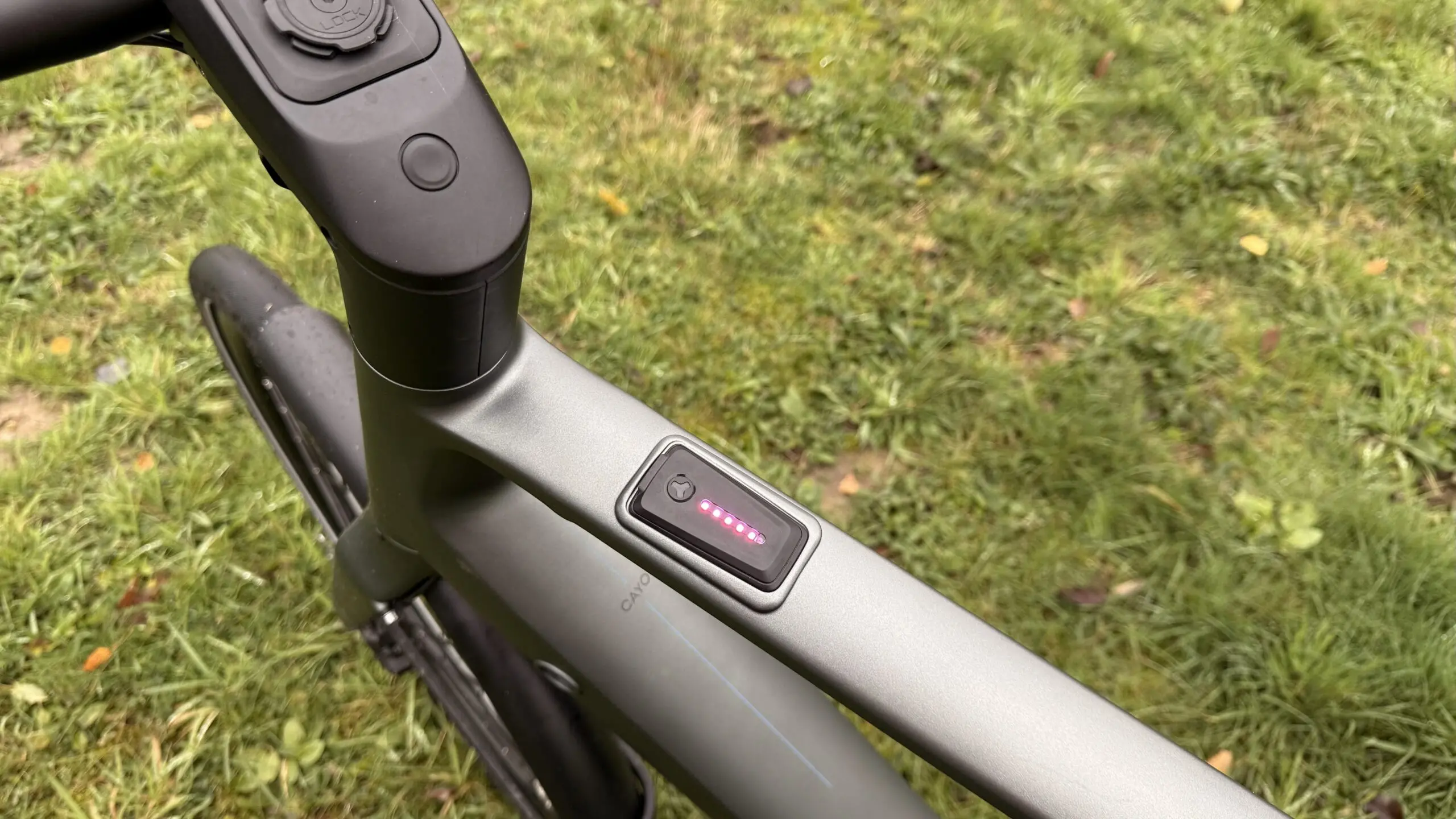 Display Gazelle Cayo