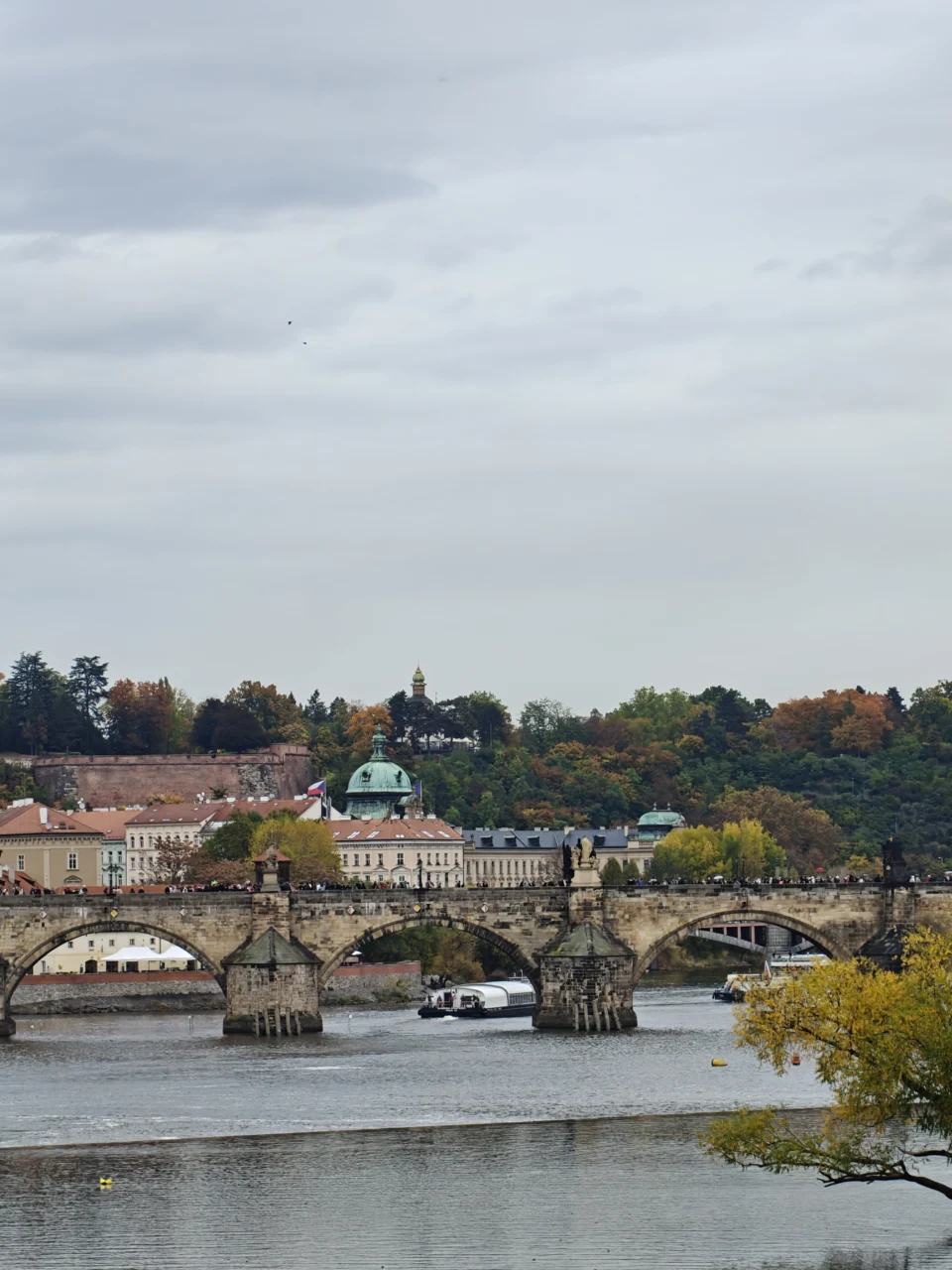 OnePlus 15 zoomfoto - 2