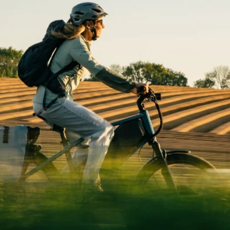 Ellio Max Suspension speedpedelec