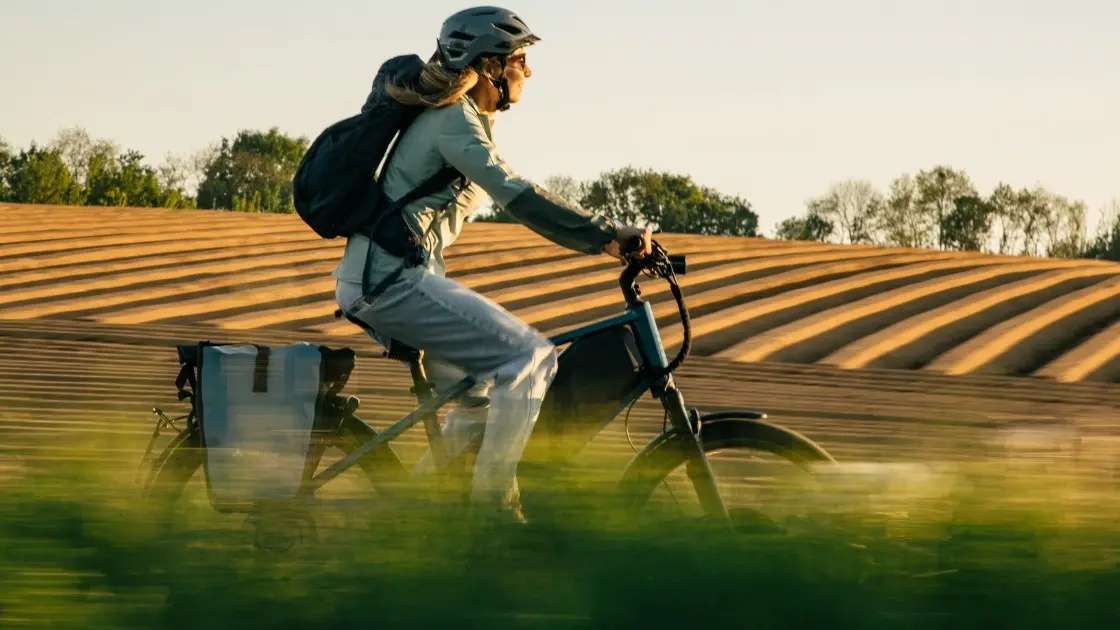 Ellio Max Suspension speedpedelec