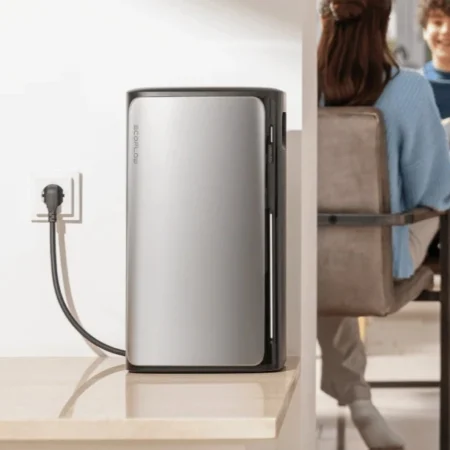 EcoFlow thuisbatterij