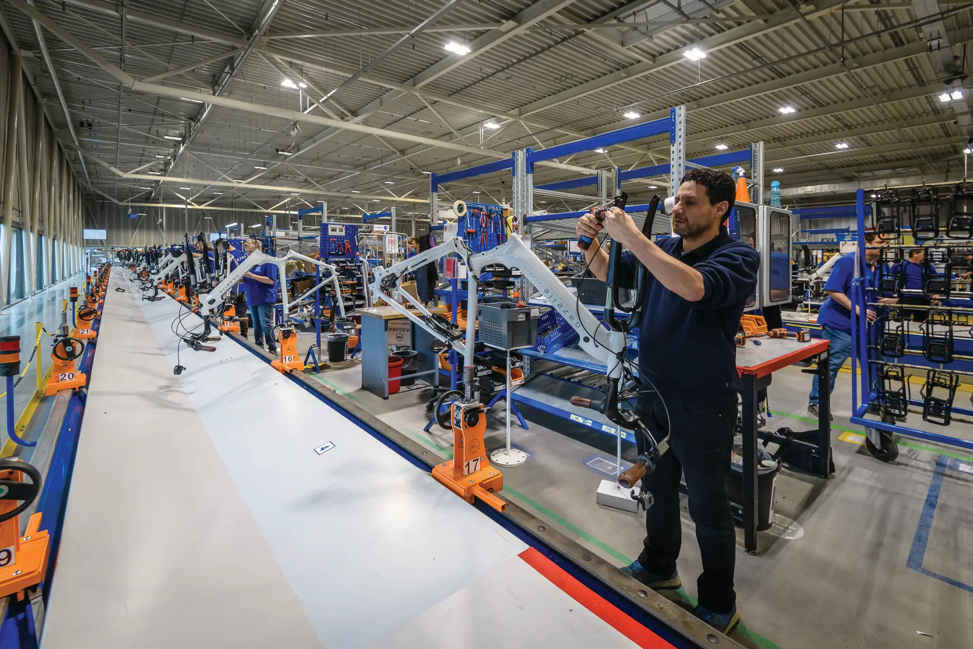 Gazelle eindassemblage