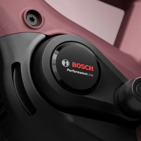 Tenways e-bike met Bosch motor