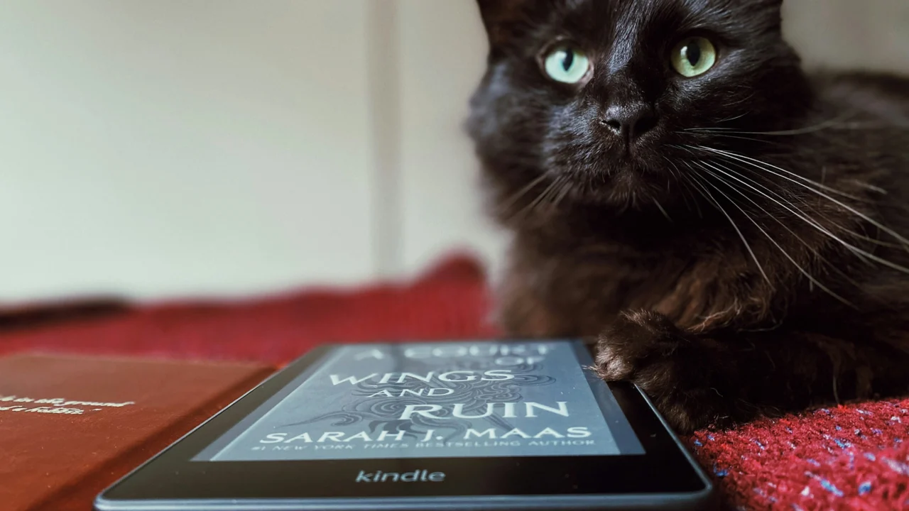 Amazon Kindle e-reader