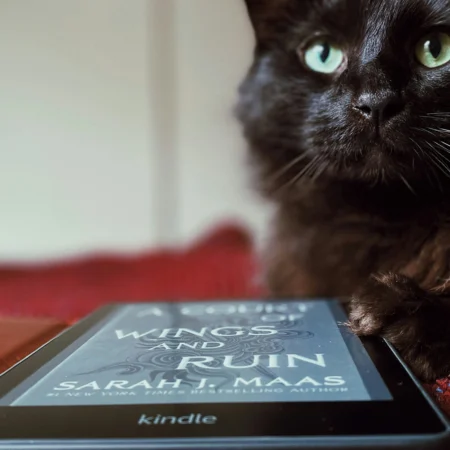 Amazon Kindle e-reader