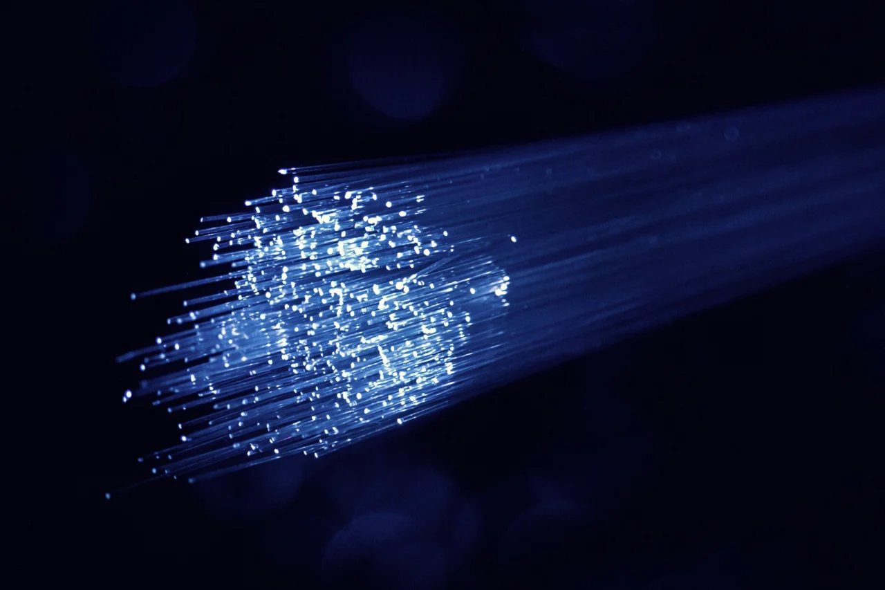 Fiber