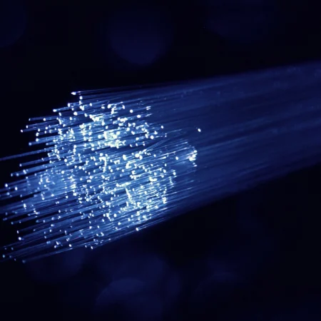 Fiber