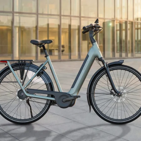 Gazelle Grenoble C5+ First Edition