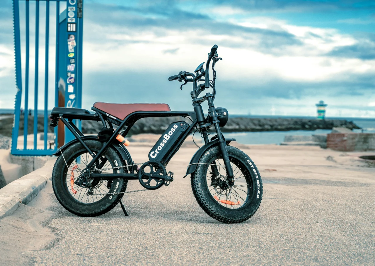 La Souris fatbike