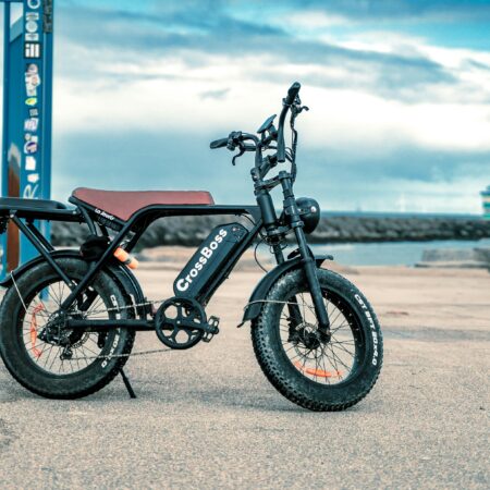 La Souris fatbike