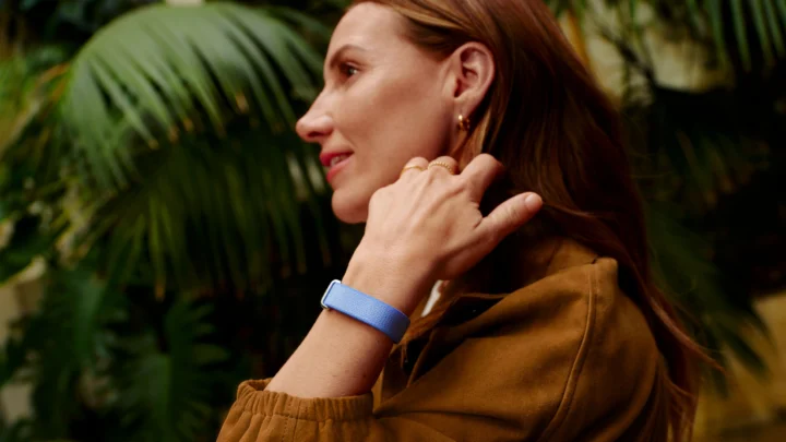 Google Fitbit Air Lavender