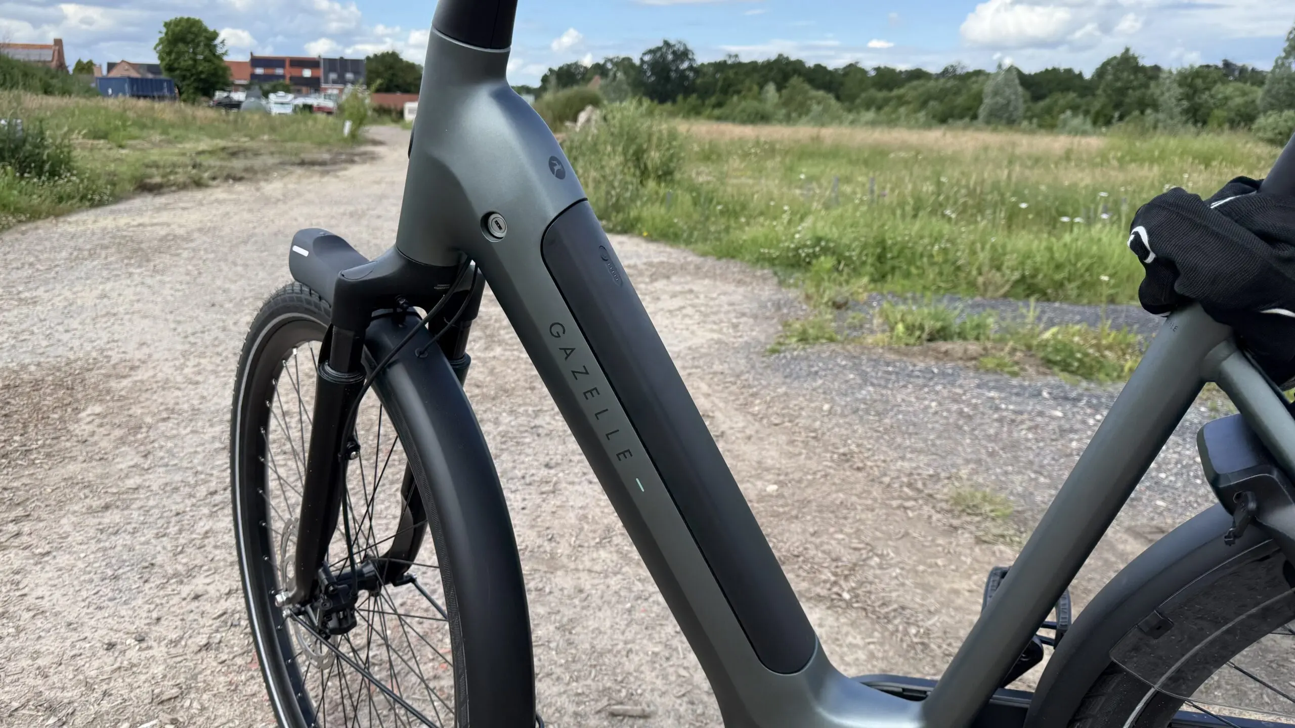 Gazelle Grenoble C5+ batterij