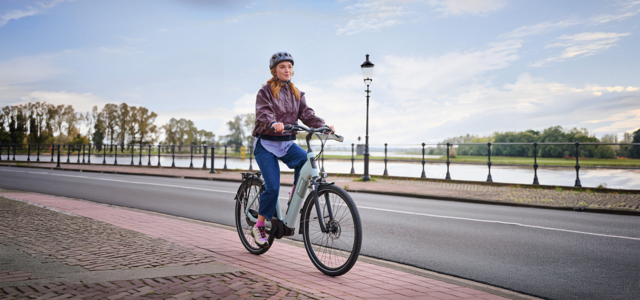 Batavus e-bike Accell failliet