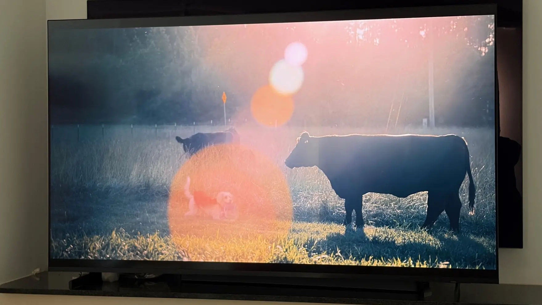 Samsung Micro RGB R85H